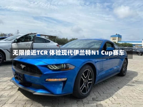 无限接近TCR 体验现代伊兰特N1 Cup赛车