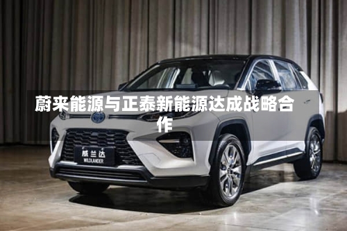 蔚来能源与正泰新能源达成战略合作