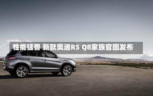 性能猛兽 新款奥迪RS Q8家族官图发布