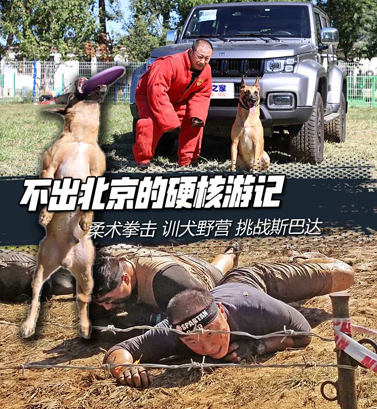 车讯
